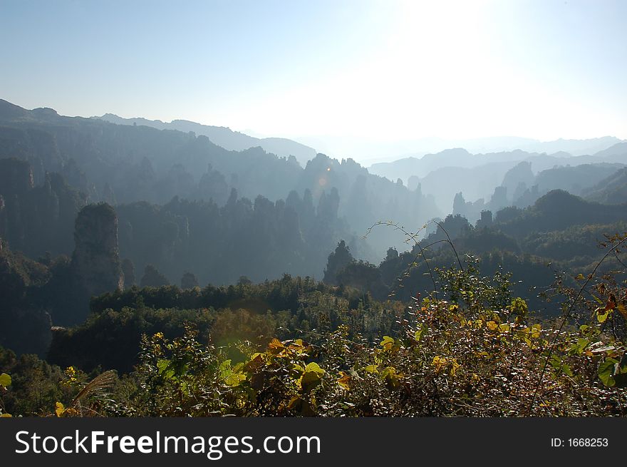 View of china forest reserve from a viewing platform. View of china forest reserve from a viewing platform