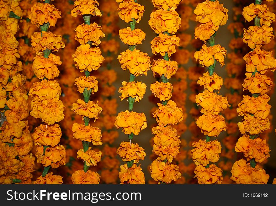 Ropes made with yellow flowers. Ropes made with yellow flowers.