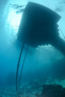 Floating Jetty Above A Coral Reef Stock Photography