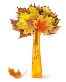 Autumn Leaves Stock Photos Autumn Leaves Stock Photos