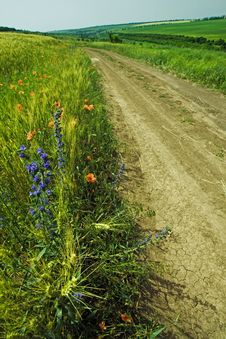 Country Road Among Fields Stock Image Country Road Among Fields Stock Image