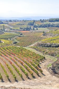Vineyards At La Rioja, Spain Royalty Free Stock Photos Vineyards At La Rioja, Spain Royalty Free Stock Photos