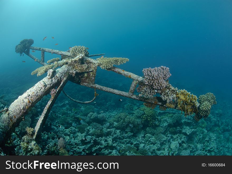 Shipwreck of the Kormoran with coral growth. Shipwreck of the Kormoran with coral growth