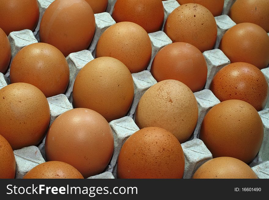 Tray of fresh chicken eggs