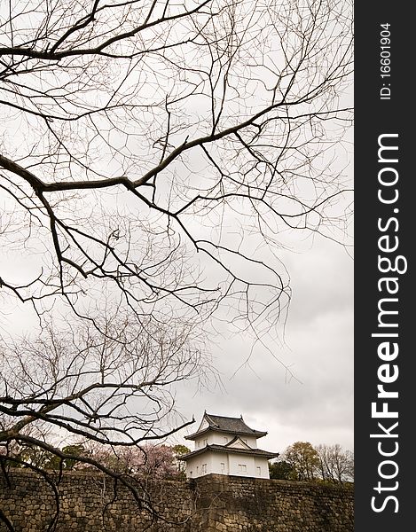 Medieval castle and barren tree during winter in April, Osaka, Japan. Medieval castle and barren tree during winter in April, Osaka, Japan