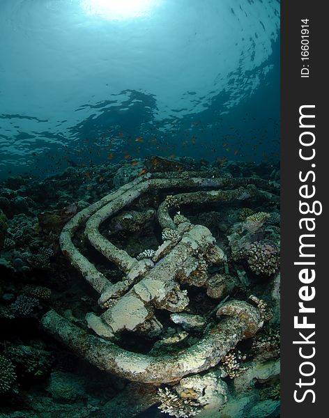 Wreckage from the shipwreck SS Lara which struck Jackson reef, situated in the Straits of Tiran in 1982. Jackson Reef, Red Sea, Egypt. Wreckage from the shipwreck SS Lara which struck Jackson reef, situated in the Straits of Tiran in 1982. Jackson Reef, Red Sea, Egypt.