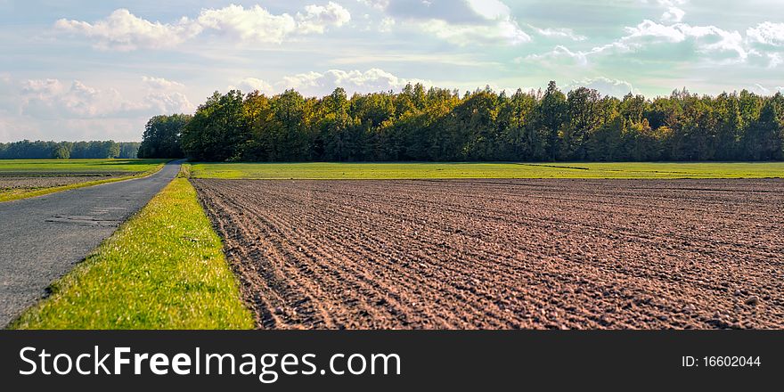 Plants for natural background on agricultural field