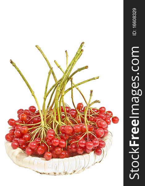 Viburnum in a wicker basket on a white background