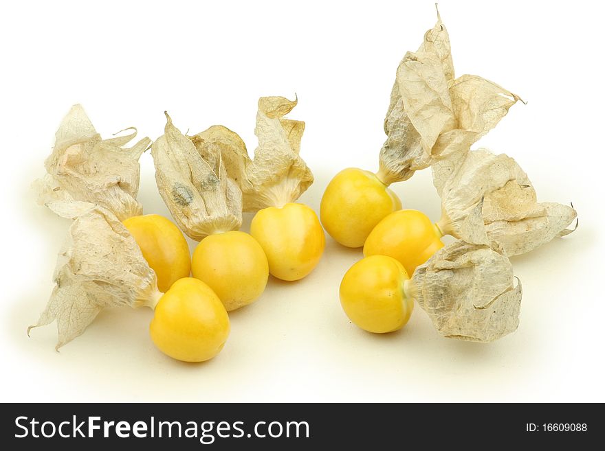 Physalis on a white background