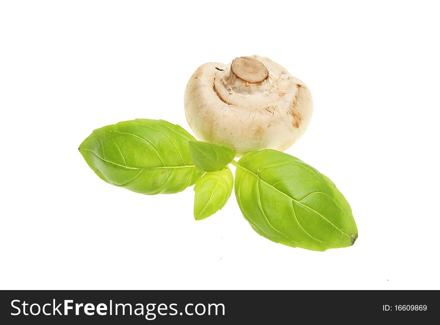 Fresh basil herb leaves and a button mushroom isolated on white. Fresh basil herb leaves and a button mushroom isolated on white