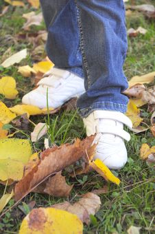 Step Through The Autumn Leaves Royalty Free Stock Photos Step Through The Autumn Leaves Royalty Free Stock Photos