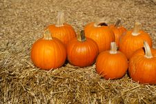 Ripe Orange Pumpkins On Brown Hay Bales Stock Photos Ripe Orange Pumpkins On Brown Hay Bales Stock Photos