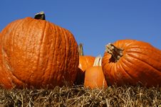 Pumpkins On Hay Bales With Blue Sky Backdrop Stock Photos Pumpkins On Hay Bales With Blue Sky Backdrop Stock Photos
