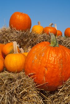 Pumpkins On Hay Bales With Blue Sky Backdrop Stock Photos Pumpkins On Hay Bales With Blue Sky Backdrop Stock Photos