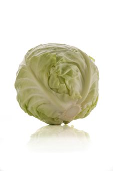 Cabbage Stock Images Cabbage Stock Images