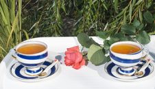 Two Porcelain Cups With Tea Royalty Free Stock Images Two Porcelain Cups With Tea Royalty Free Stock Images