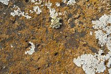 Stone Structure At The Coast Line Covered By Liche Royalty Free Stock Photo Stone Structure At The Coast Line Covered By Liche Royalty Free Stock Photo