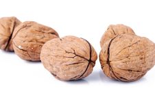 Walnut Royalty Free Stock Images Walnut Royalty Free Stock Images