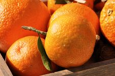 Basket Of Clementines Royalty Free Stock Photos Basket Of Clementines Royalty Free Stock Photos