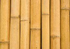 Closed Up Bamboo Background Royalty Free Stock Images