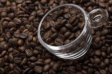 Cup Filled With Coffee Beans Stock Image Cup Filled With Coffee Beans Stock Image