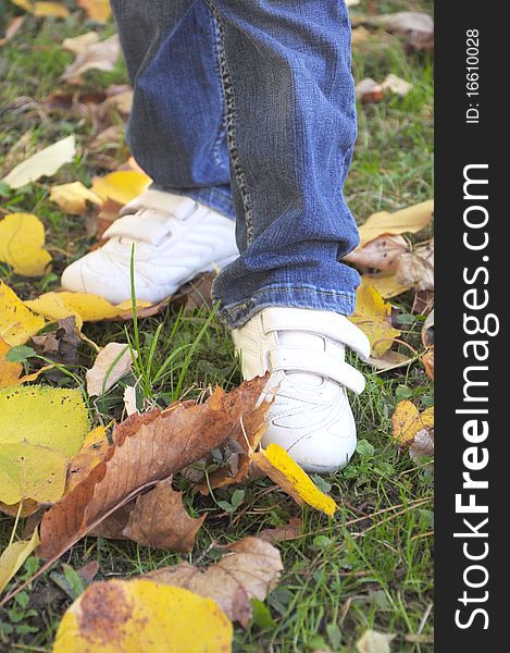 Walk with white sneakers through autumn leaves. Walk with white sneakers through autumn leaves