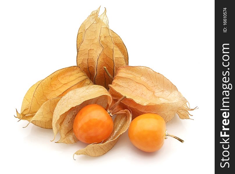 Physalis on a white background