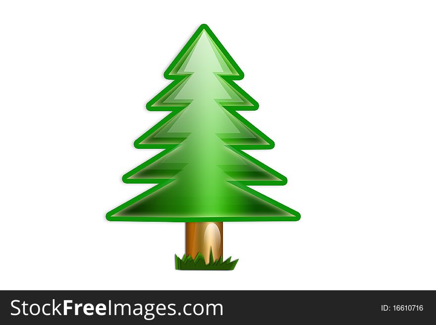 Pine tree isolated on white background. Pine tree isolated on white background