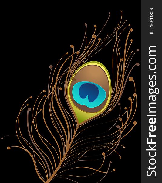 Black background with brown peacock feather