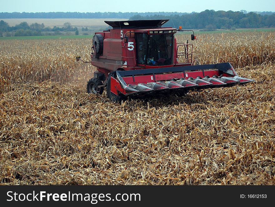 Combain is harvesting mais on Ukrainian field. Combain is harvesting mais on Ukrainian field