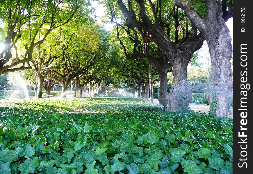 Royal palace park in Barcelona