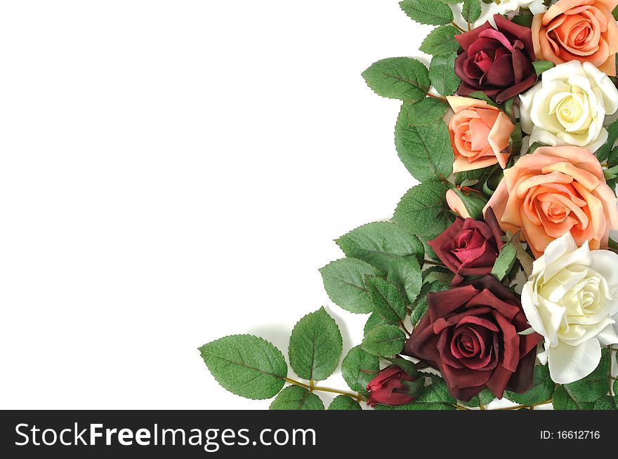 Framework from colorful roses, isolated on white. Framework from colorful roses, isolated on white