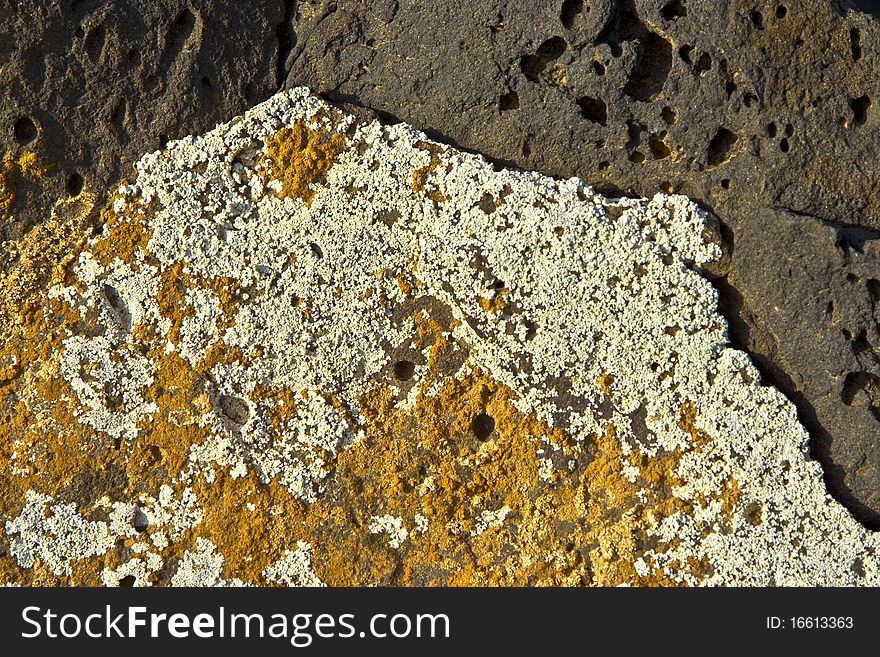 stones at the coastline covered by yellow lichen.  stones at the coastline covered by yellow lichen