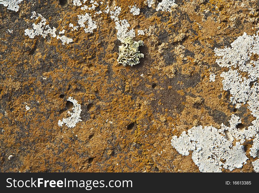 Beautiful stone structure at the coast line covered by lichen