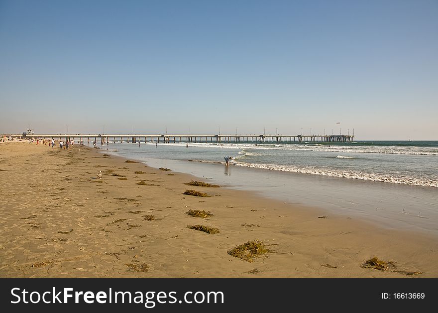 Beautiful Beach In Venice