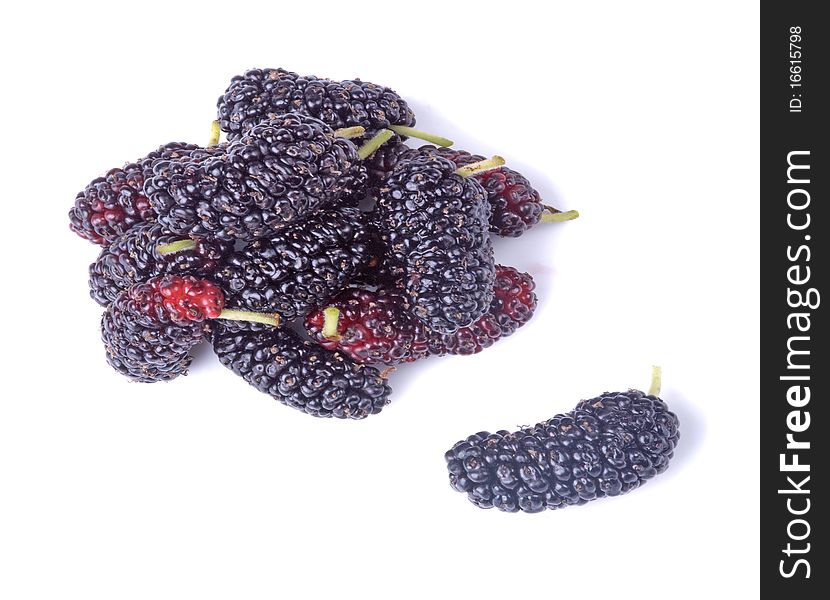 Close up of Black mulberries