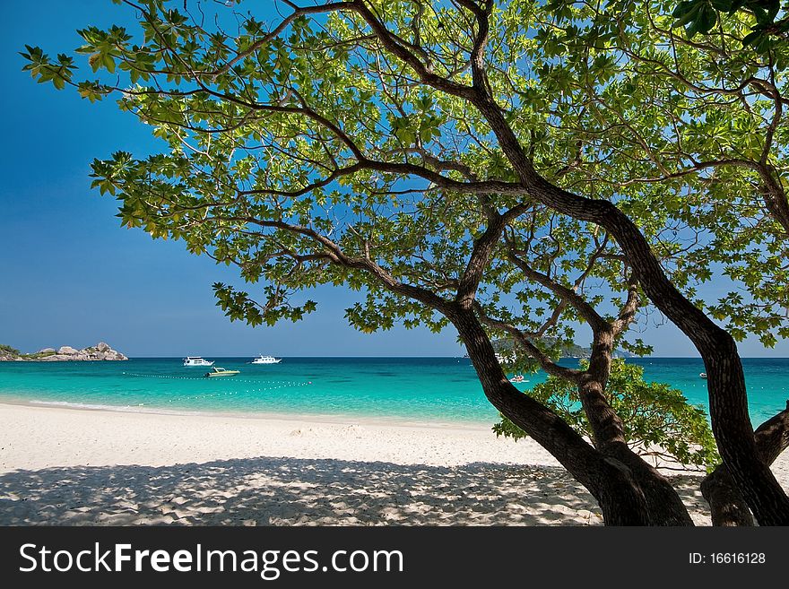 Similan Islands, Marine National Park, South Of Th