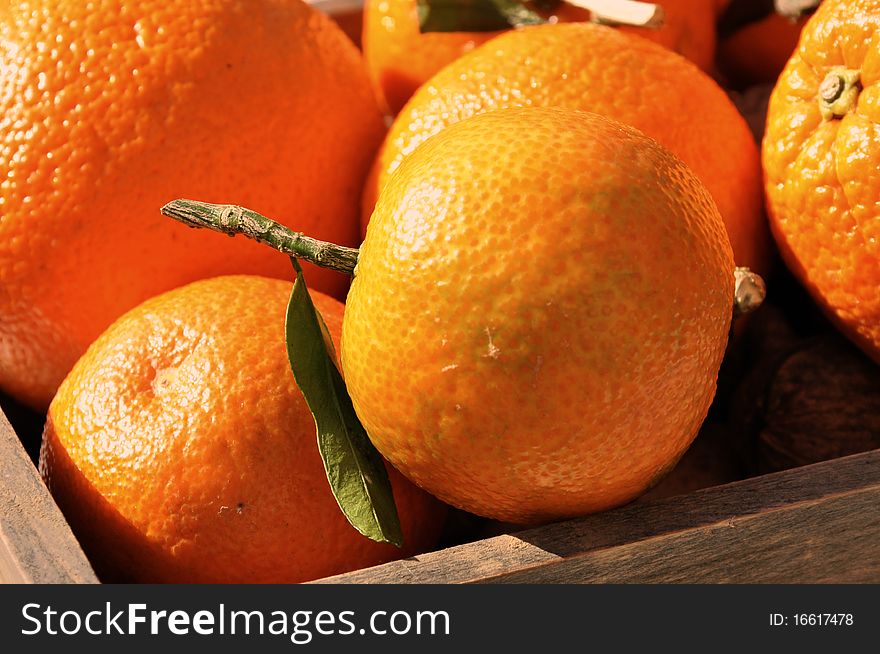 Closeup of a clementine in a basket filled with citrus. Closeup of a clementine in a basket filled with citrus