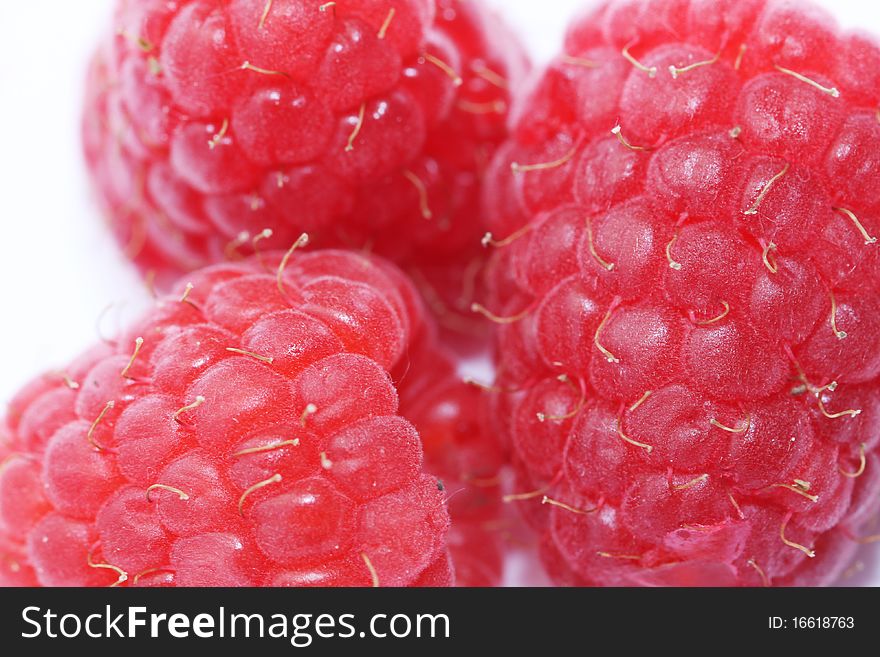 Ripe raspberries. Close-up shot.