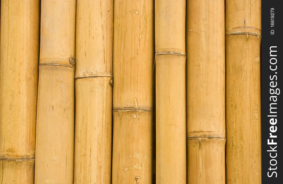 Closed up bamboo background from Thailand