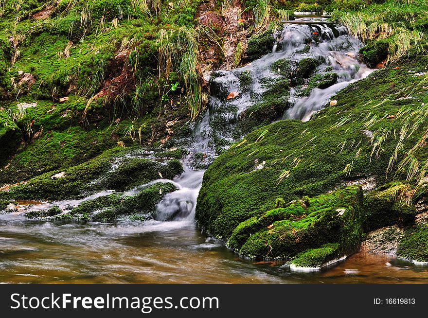 The river Bear Creek in the national park Krkonose in the Czech Republic