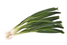 Spring Onions, Isolated Stock Photos Spring Onions, Isolated Stock Photos