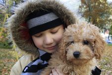 Boy And Small Dog Royalty Free Stock Image