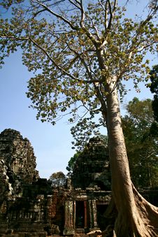 Ta Prohm Temple,Angkor Stock Photo Ta Prohm Temple,Angkor Stock Photo