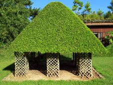 Roof Of Leaves. Royalty Free Stock Image Roof Of Leaves. Royalty Free Stock Image