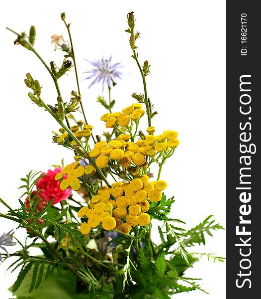 Bucket of wildflowers on white