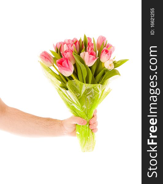 Hand Holding bouquet of tulips on white. Hand Holding bouquet of tulips on white