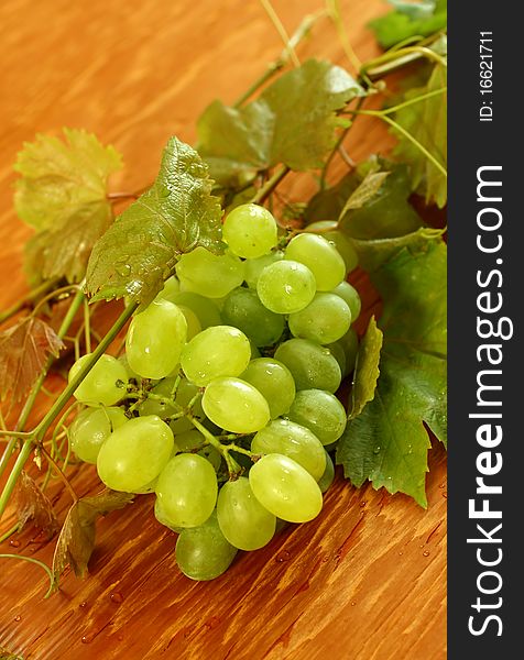 Fresh grapes and vine on wooden background