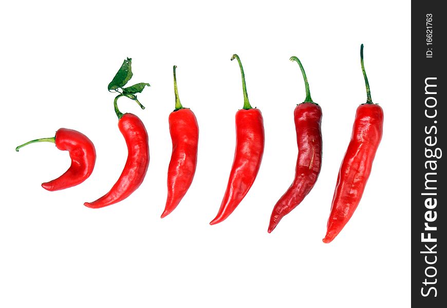 Red peppers isolated on white