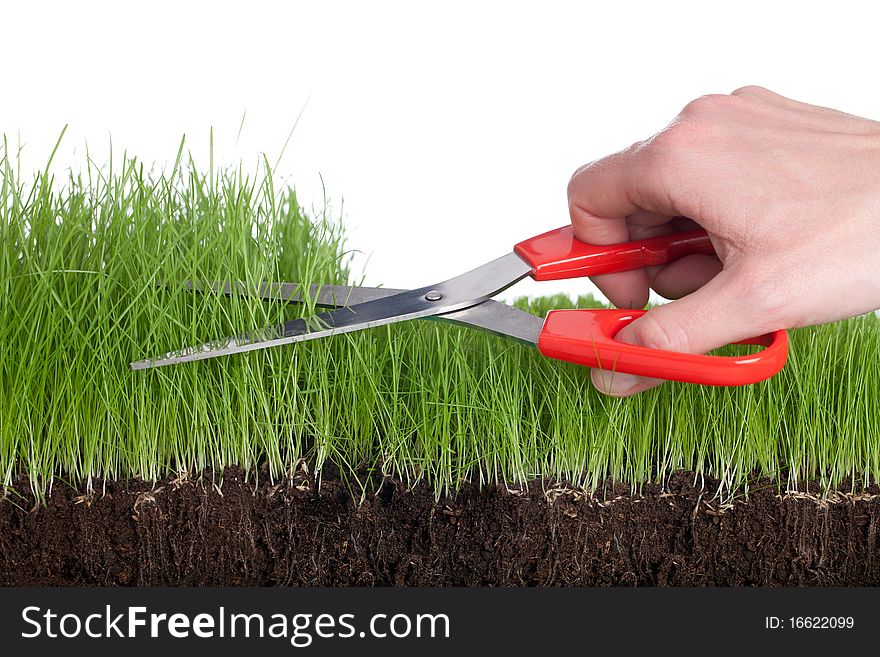 Working in the garden - cutting the grass